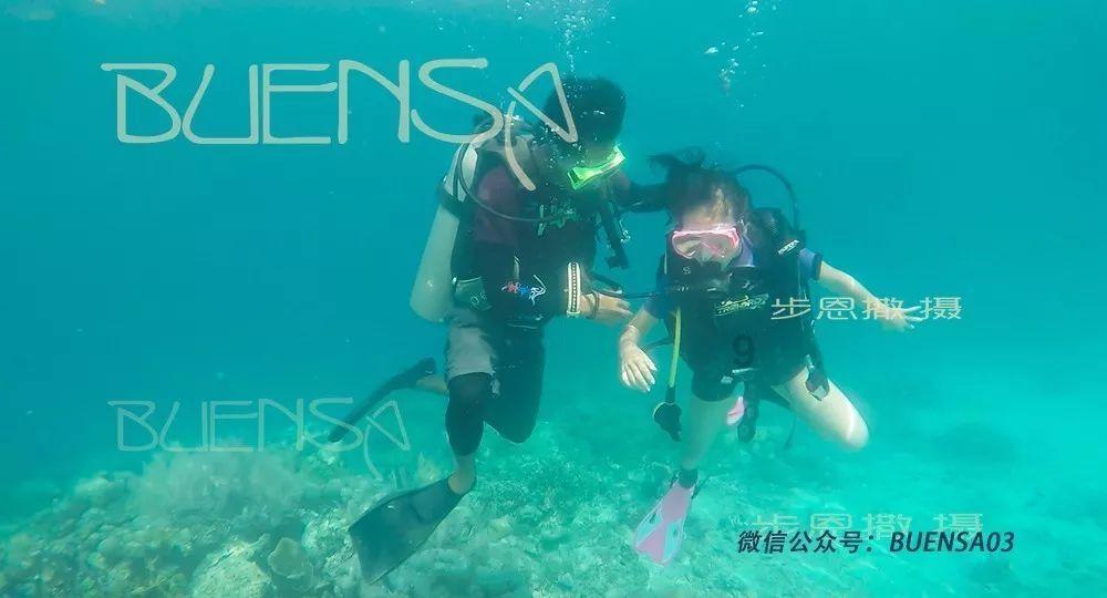 金科地产集团股份有限公司成被执行人，被执行金额102300.0元